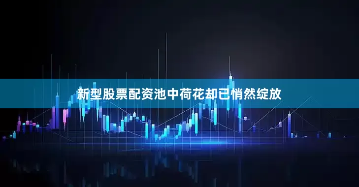 新型股票配资池中荷花却已悄然绽放