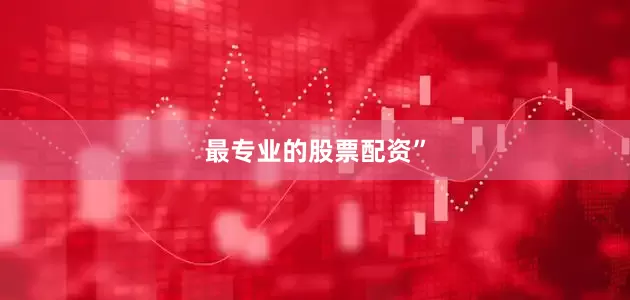 最专业的股票配资”