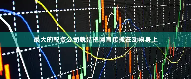 最大的配资公司就是把网直接撒在动物身上