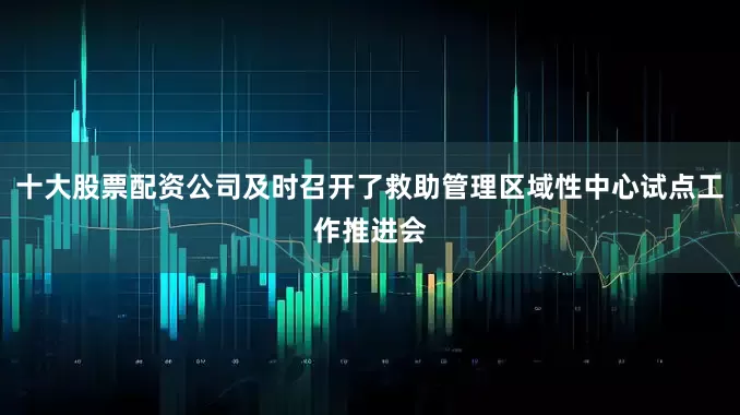 十大股票配资公司及时召开了救助管理区域性中心试点工作推进会