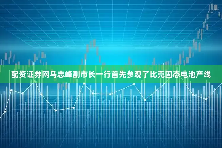 配资证券网马志峰副市长一行首先参观了比克固态电池产线