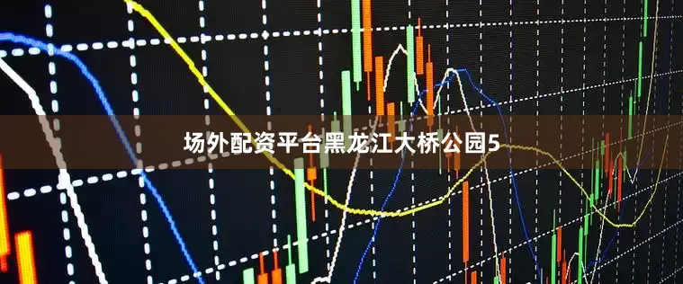 场外配资平台黑龙江大桥公园5