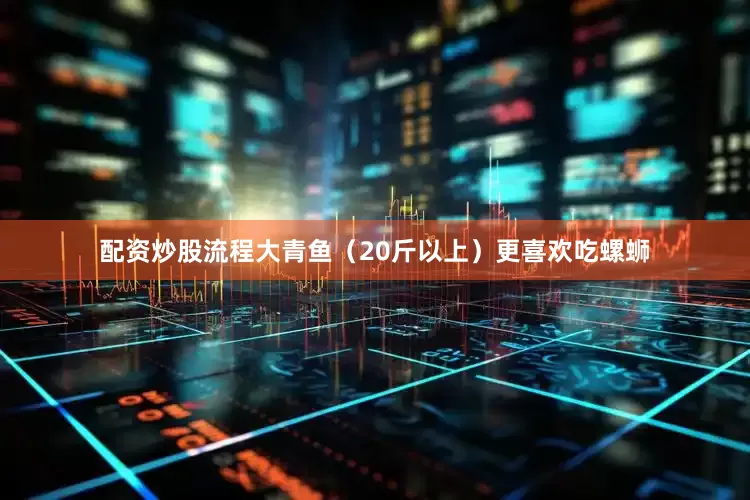 配资炒股流程大青鱼（20斤以上）更喜欢吃螺蛳