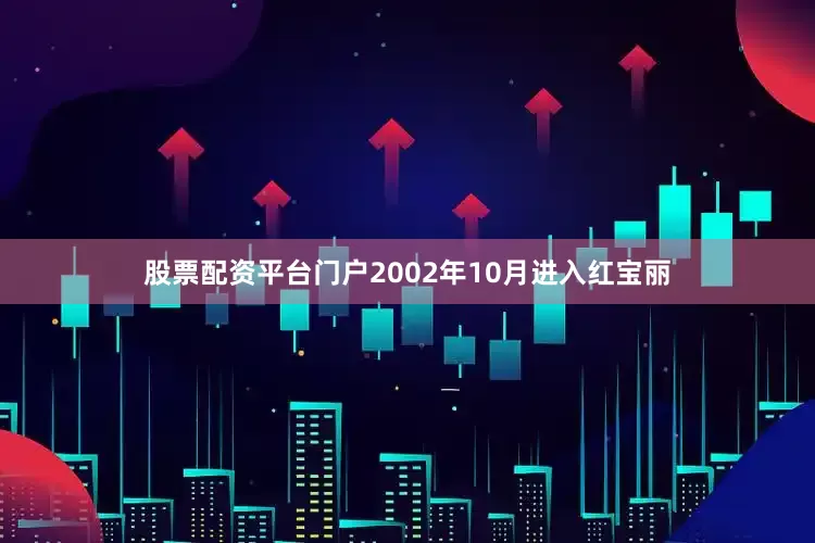 股票配资平台门户2002年10月进入红宝丽