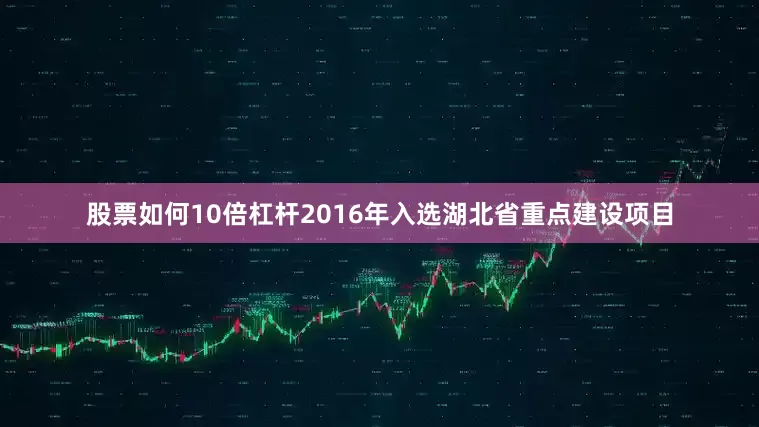股票如何10倍杠杆2016年入选湖北省重点建设项目