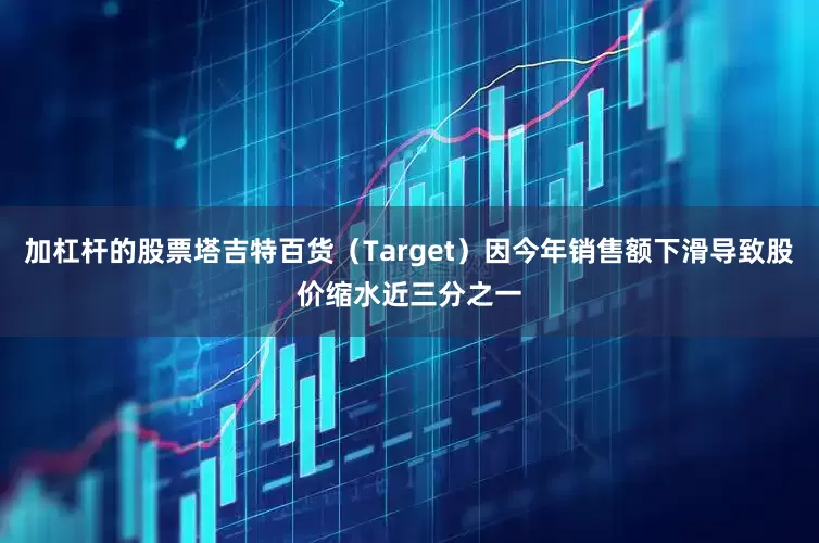 加杠杆的股票塔吉特百货（Target）因今年销售额下滑导致股价缩水近三分之一